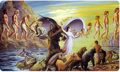 Orthodoxia meten